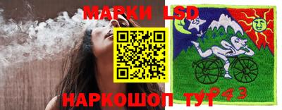 прущие грибы Мариинск