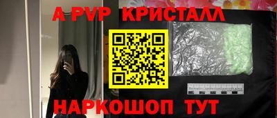 спайс Малгобек