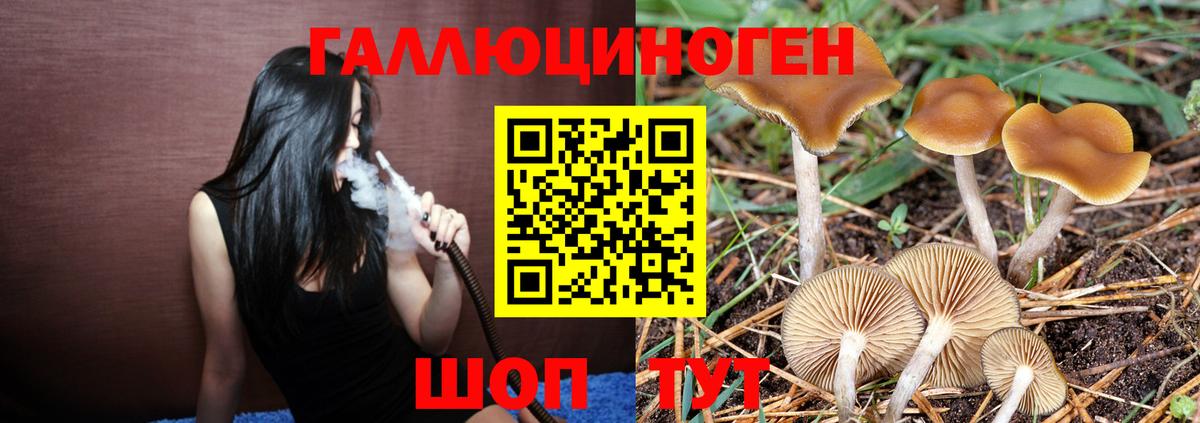 Галлюциногенные грибы мицелий Ижевск