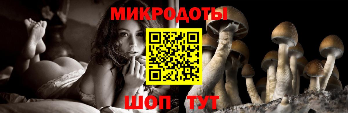Ижевск  цена   Вход с VPN  Галлюциногенные грибы мухоморы 